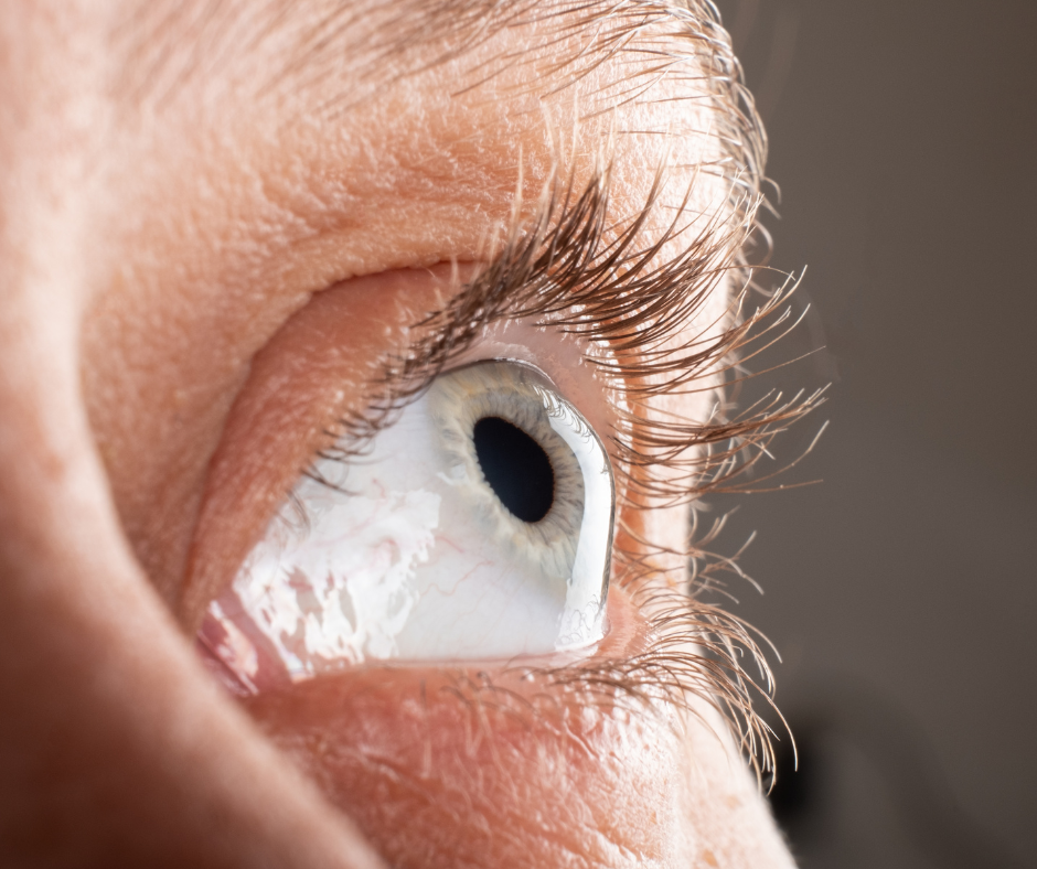 CORNEA & EXTERNAL DISEASES | South Shore Eye Care | Service Page