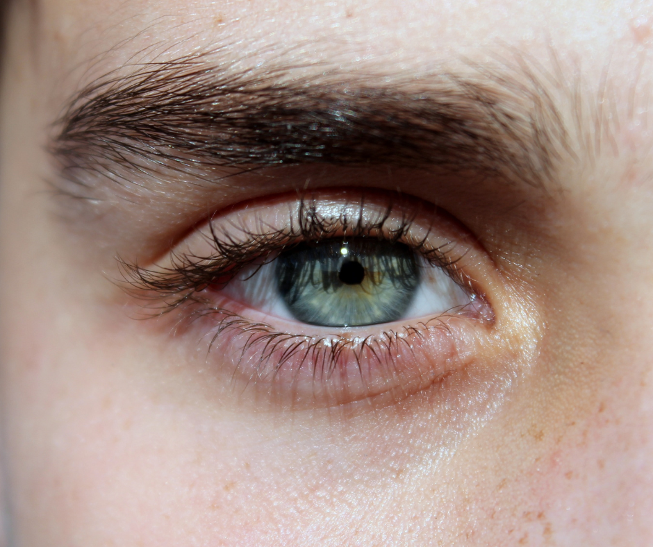 Floaters | South Shore Eye Care | Services