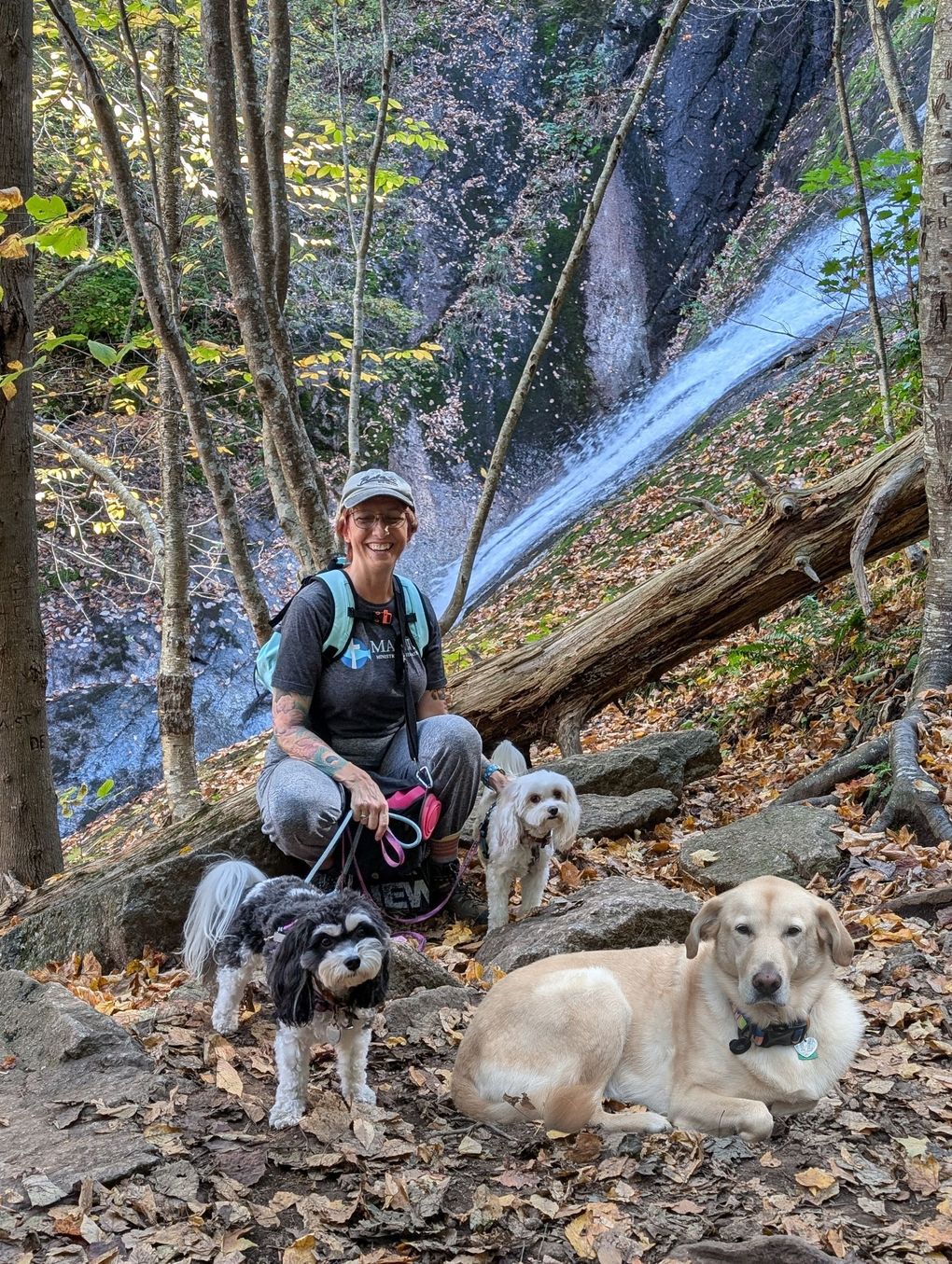 Counselor hiking with three dogs on a forest trail beside a waterfall in Virginia