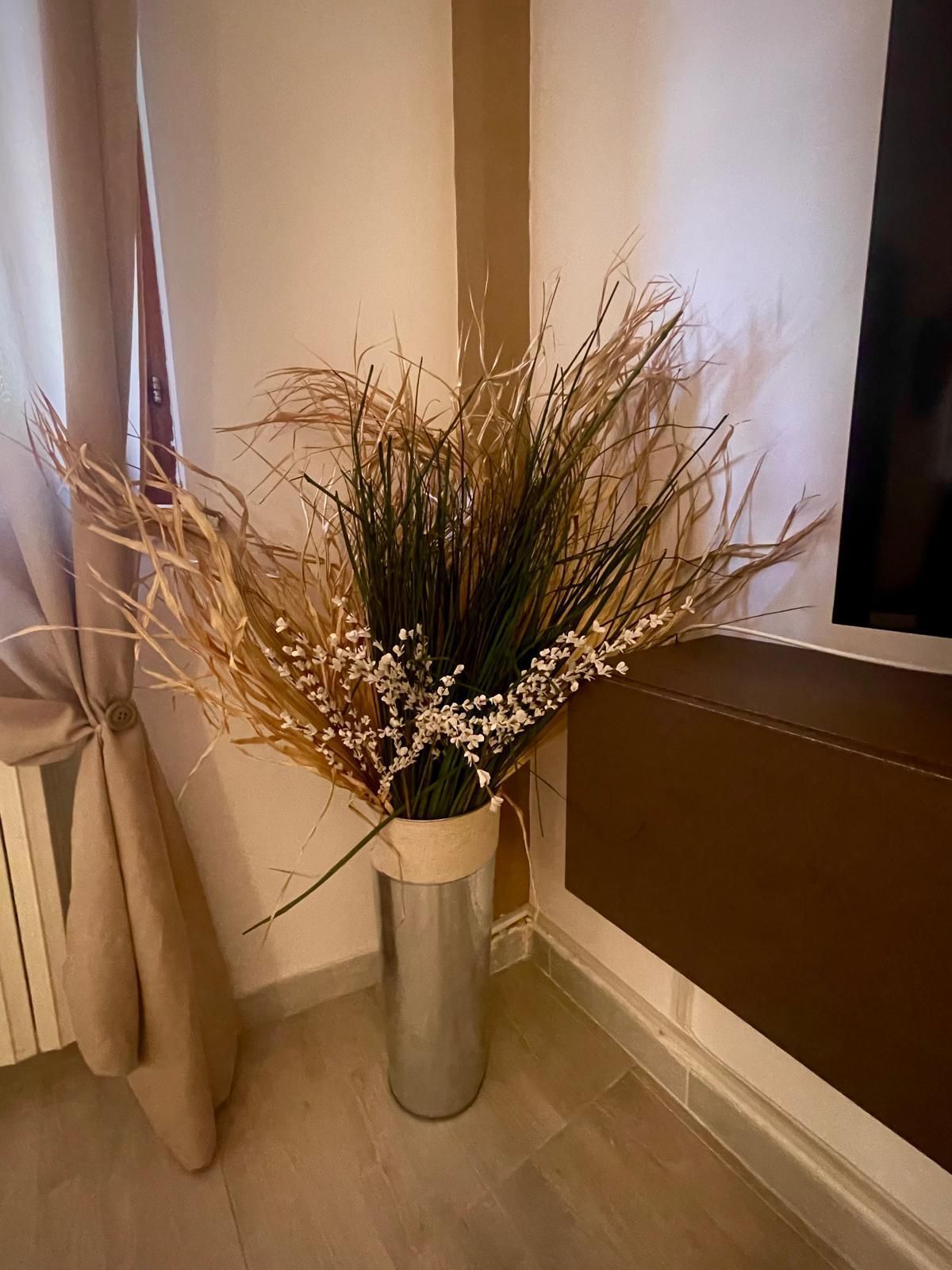 vaso con pianta da arredamento