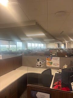Office cubicles with desks, computers, and a window view.