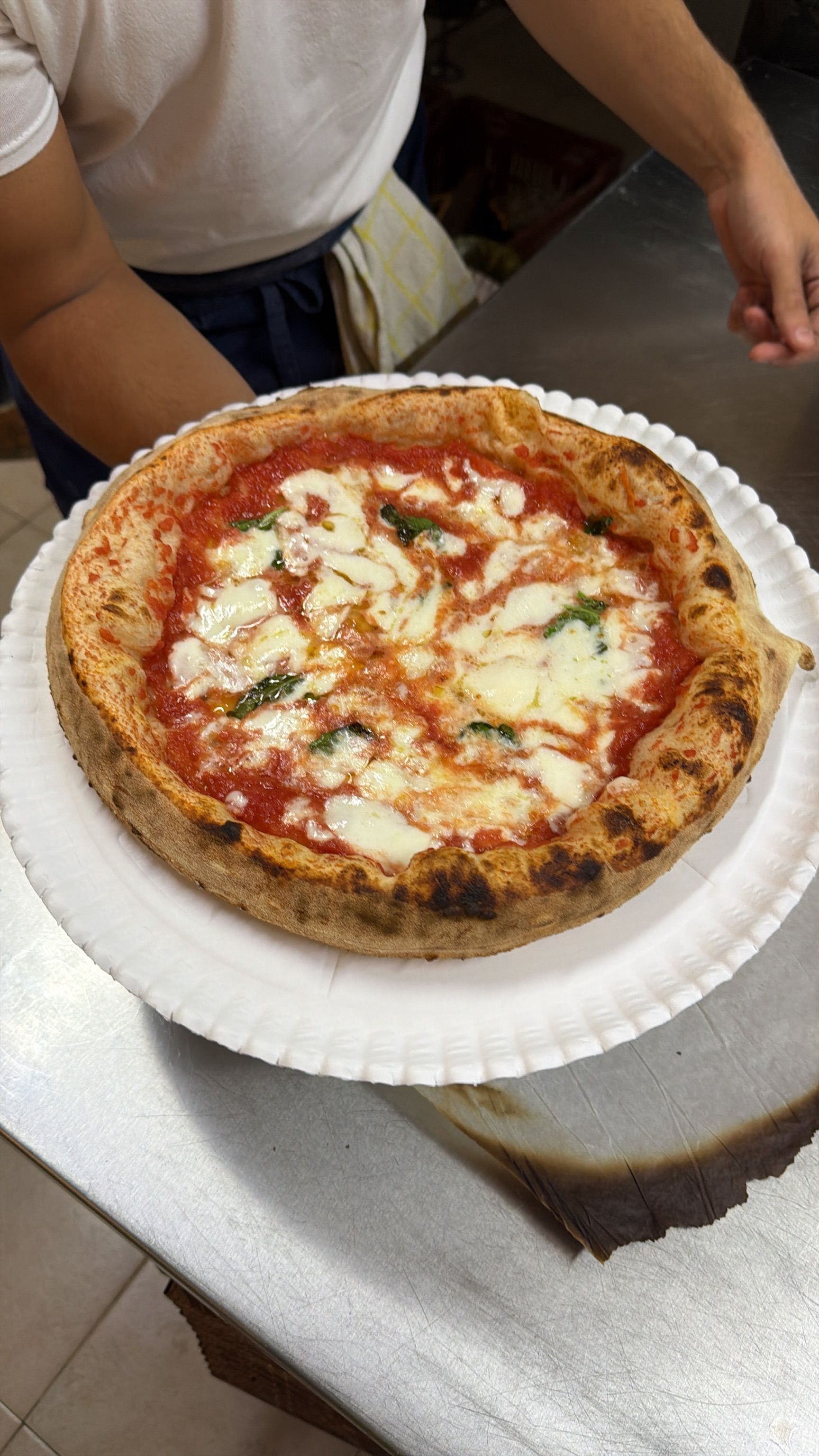 Torta al cioccolato ricca e vellutata con glassa lucida, presentazione da pasticceria italiana professionale.