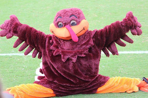 HokieBird Virgina Tech mascot
