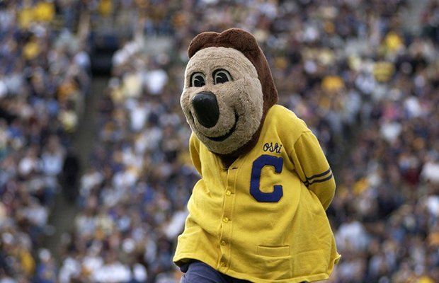 Oski University of California mascot
