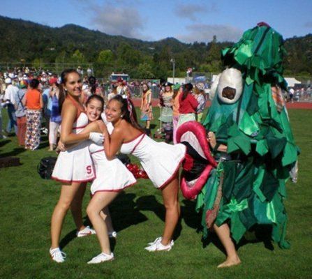 Stanford Tree mascot