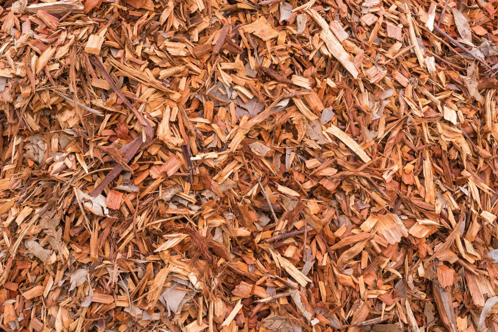 A pile of wood chips is sitting on the ground.