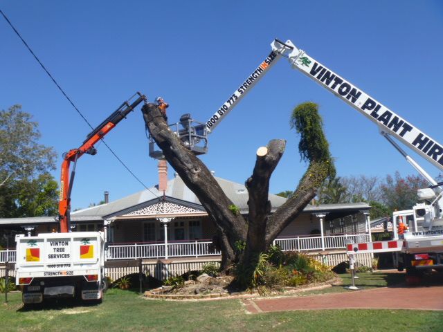 A chainsaw is sitting on top of a tree stump.