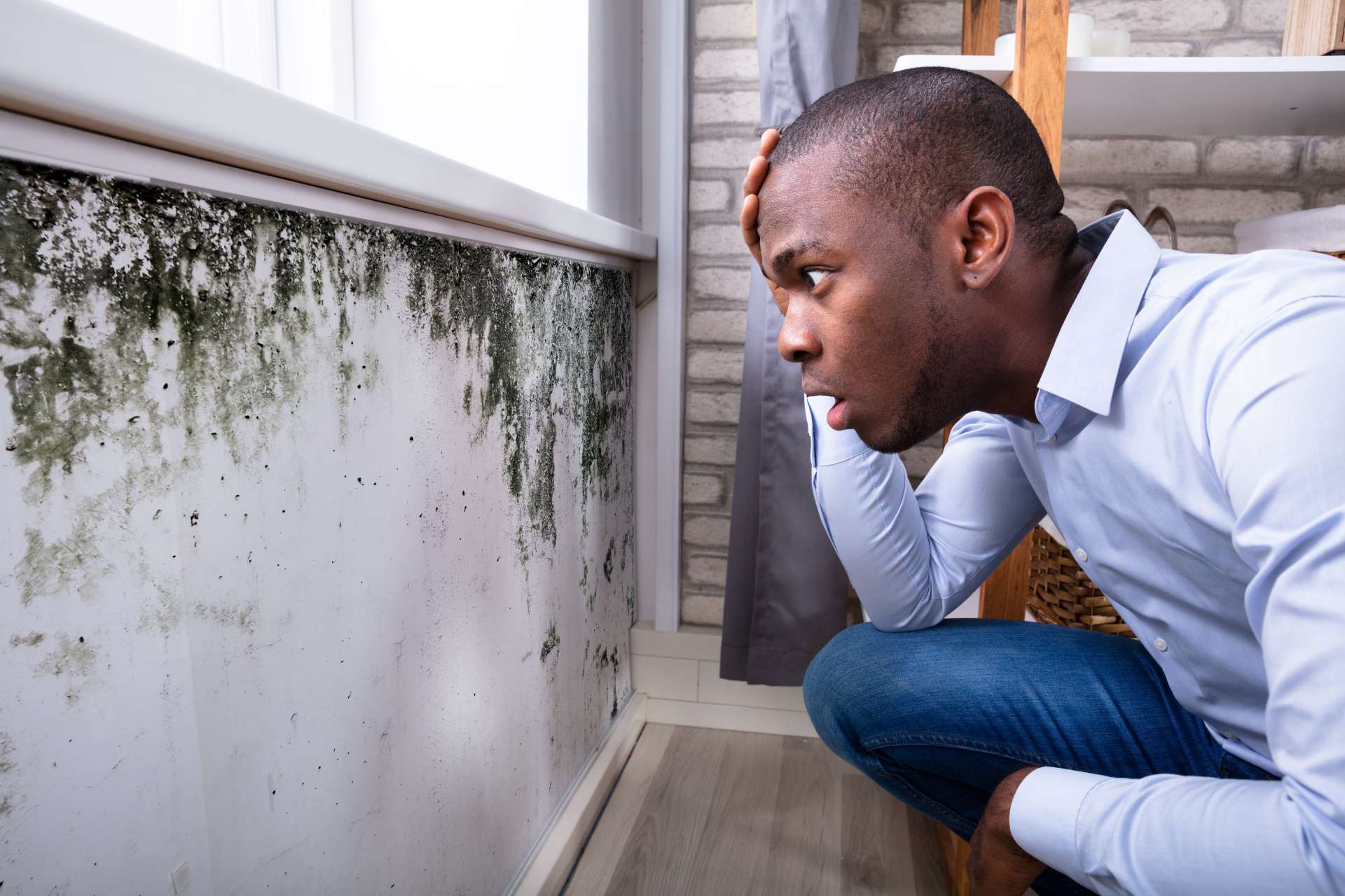 Guy staring at mold with disbelief