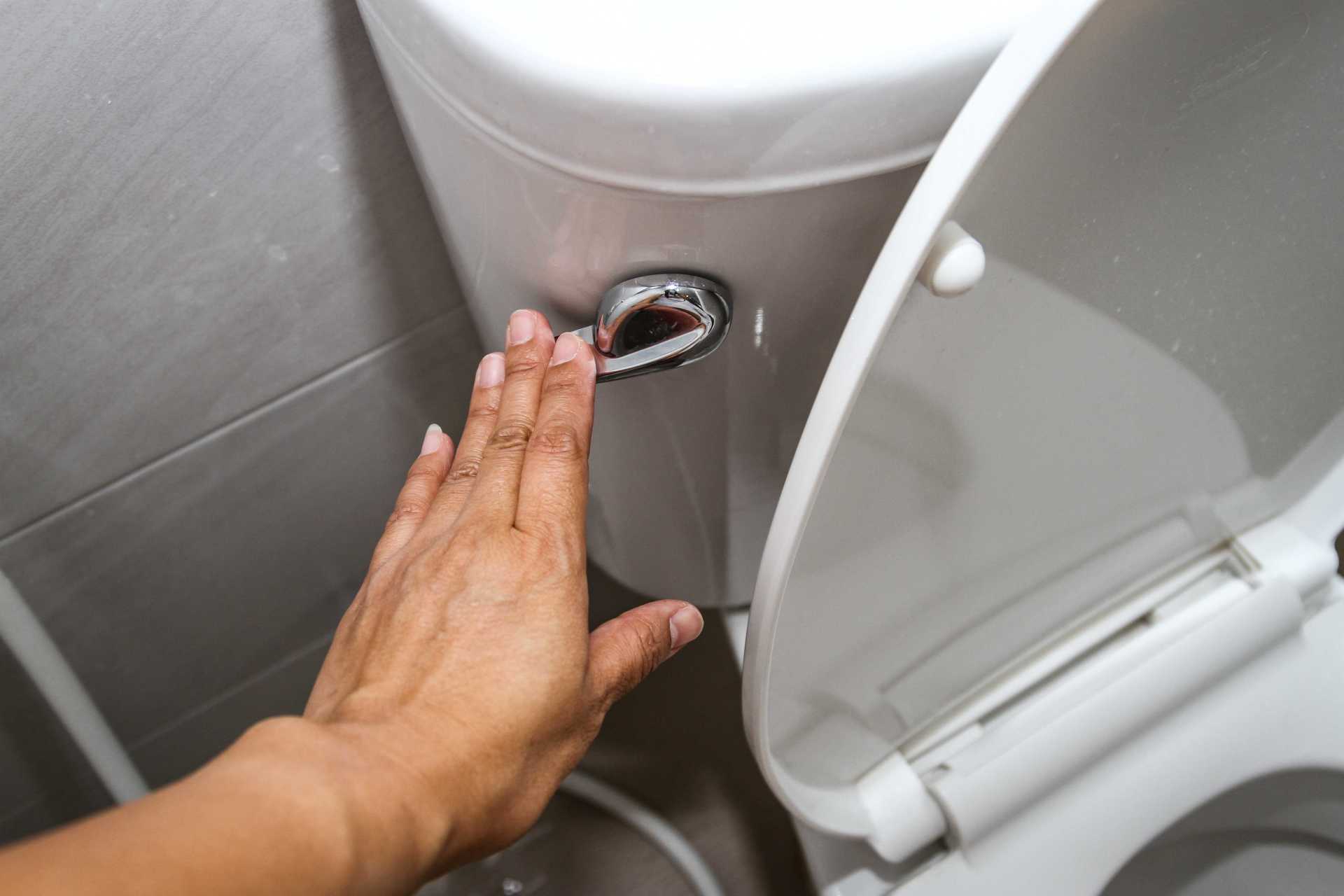 person flushing toilet