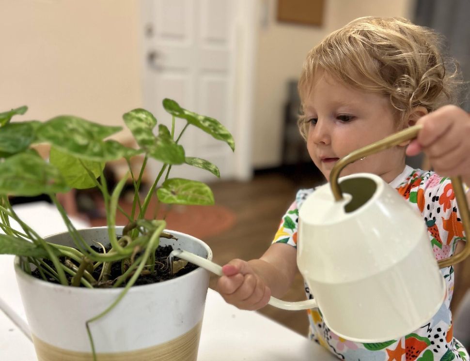 Montessori child watering plants