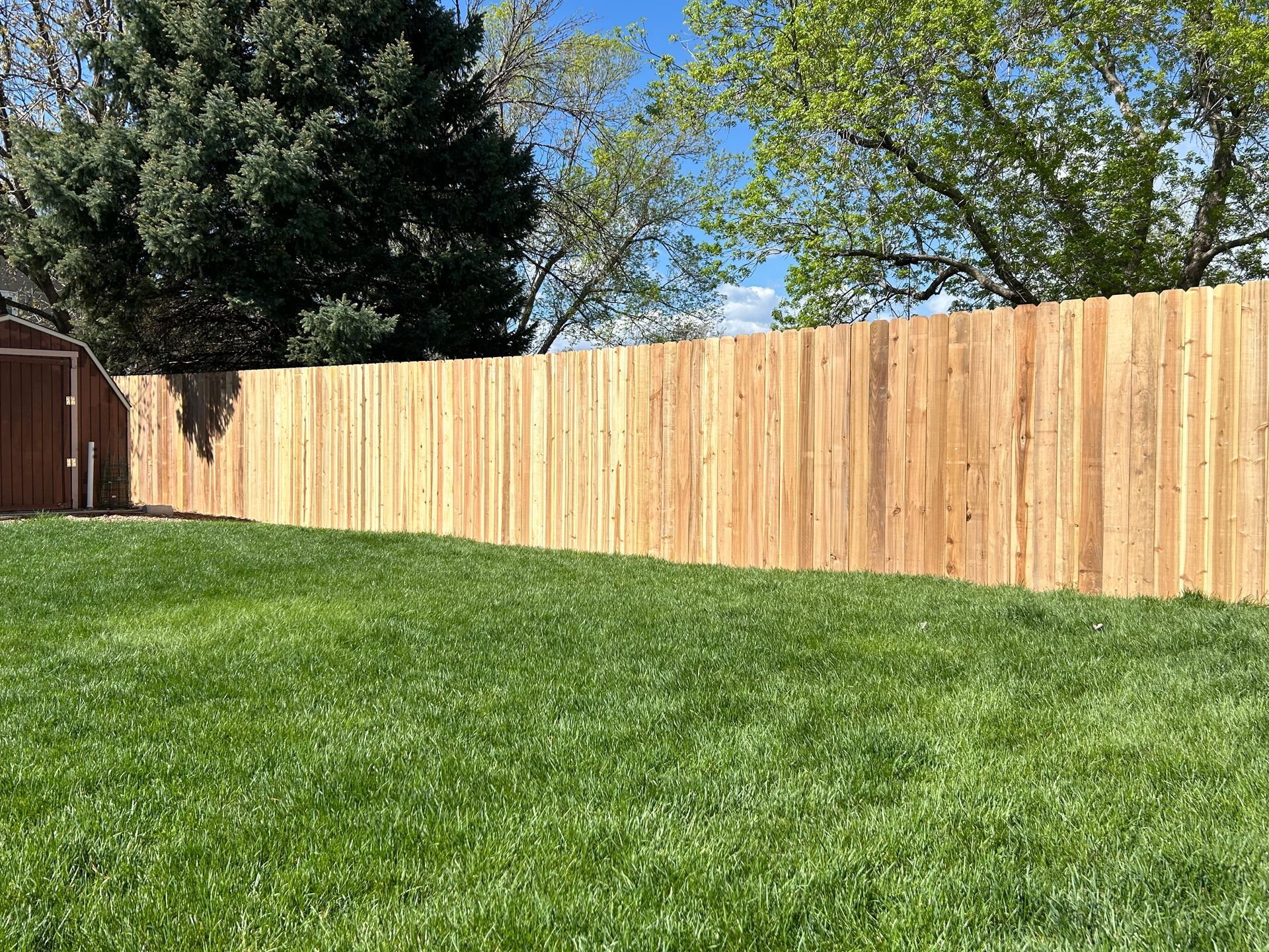 A wooden fence surrounds a lush green lawn in a backyard.