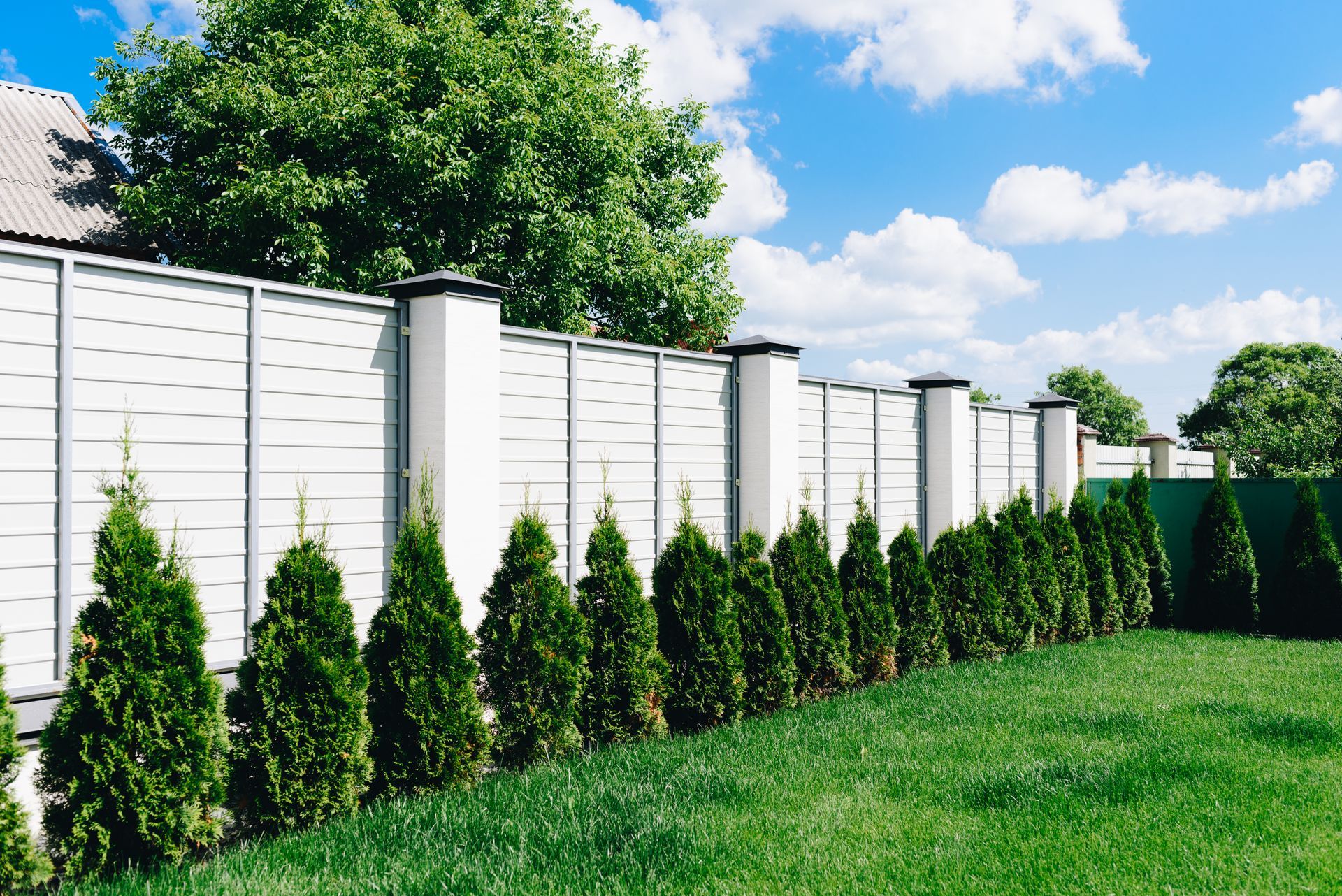 A white fence with a row of trees in front of it.