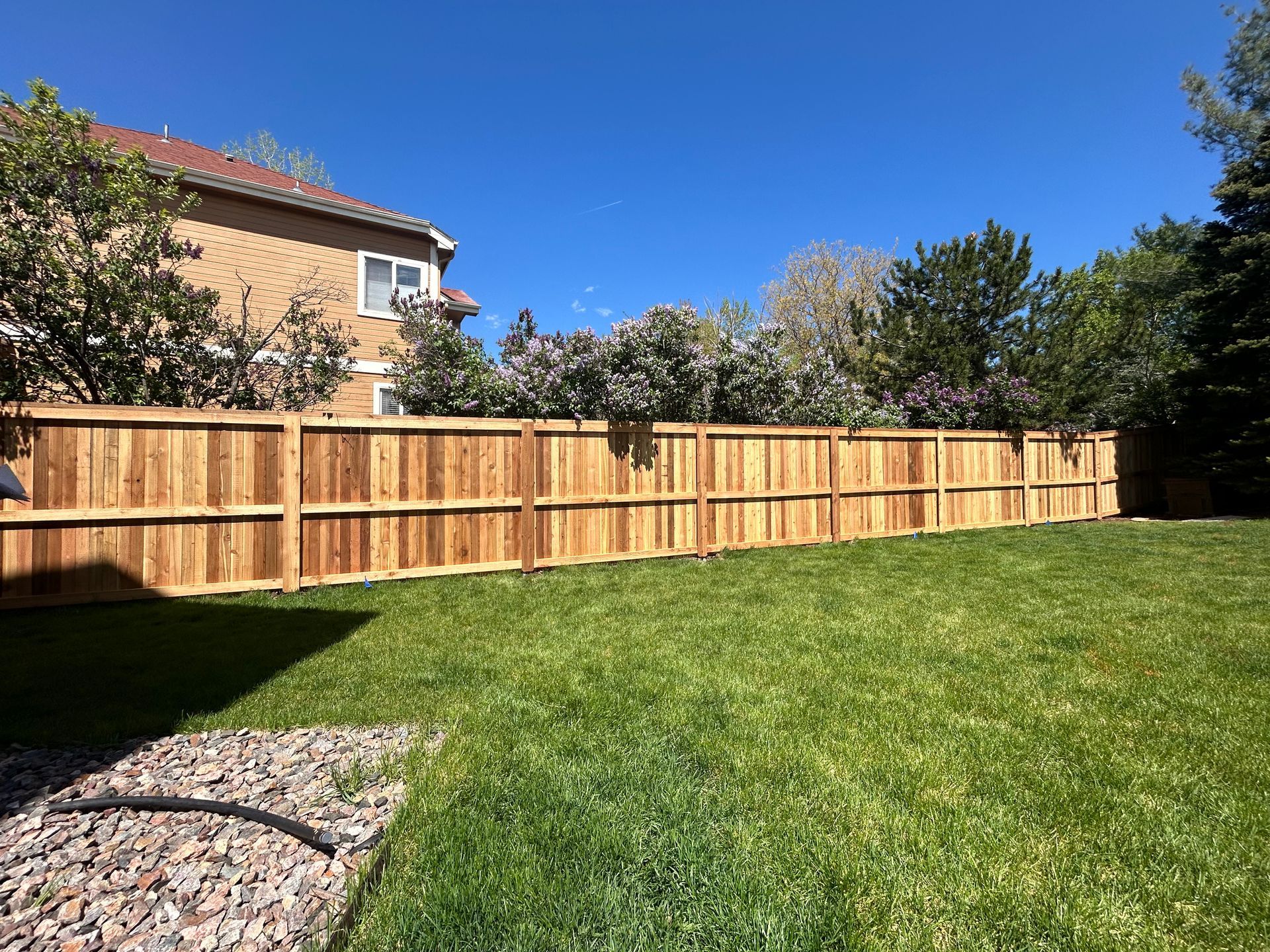 A wooden fence surrounds a lush green lawn in a backyard.