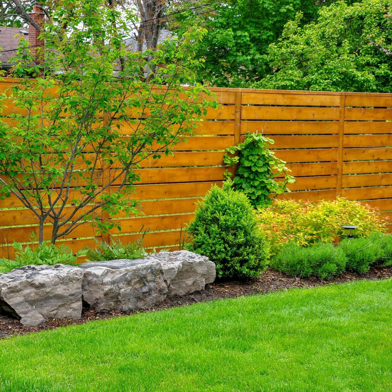 A wooden fence surrounds a lush green lawn in a backyard.