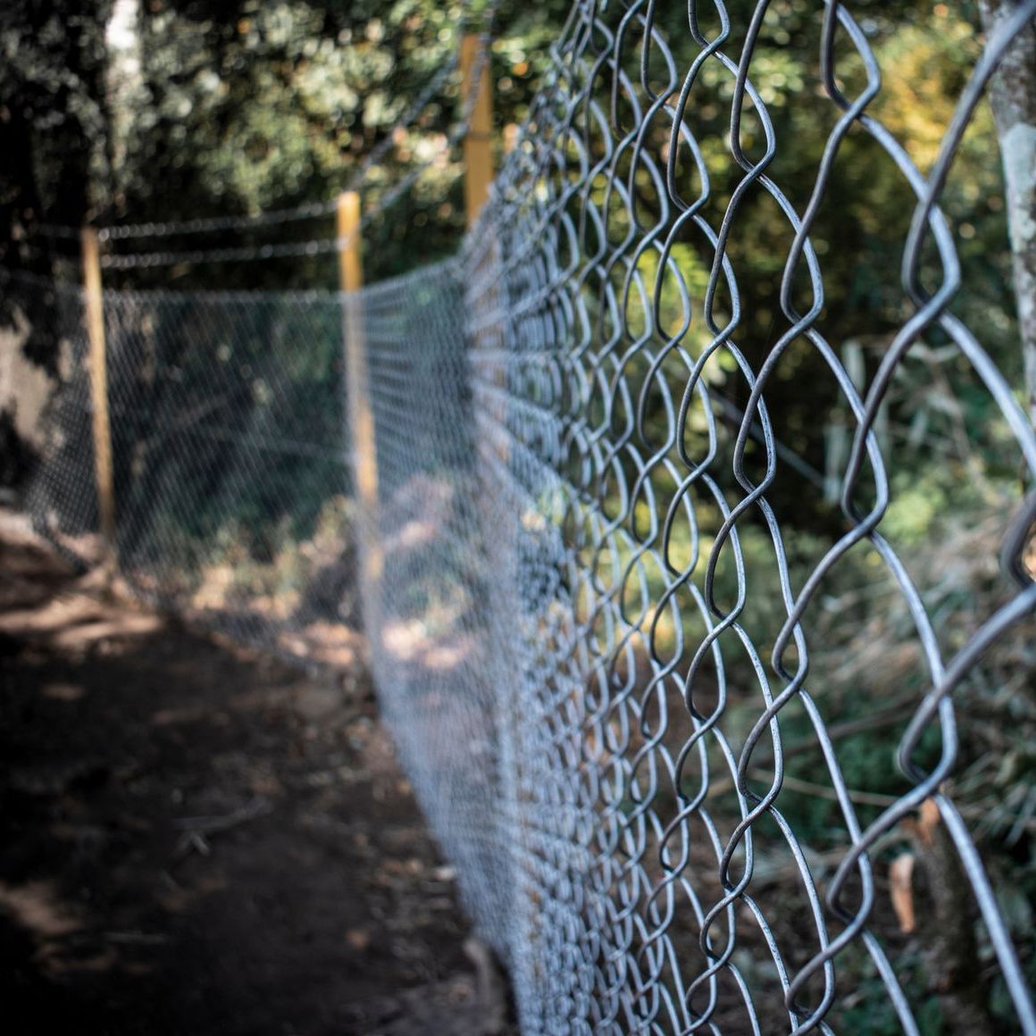 A chain link fence is surrounded by a wooden fence in a backyard.