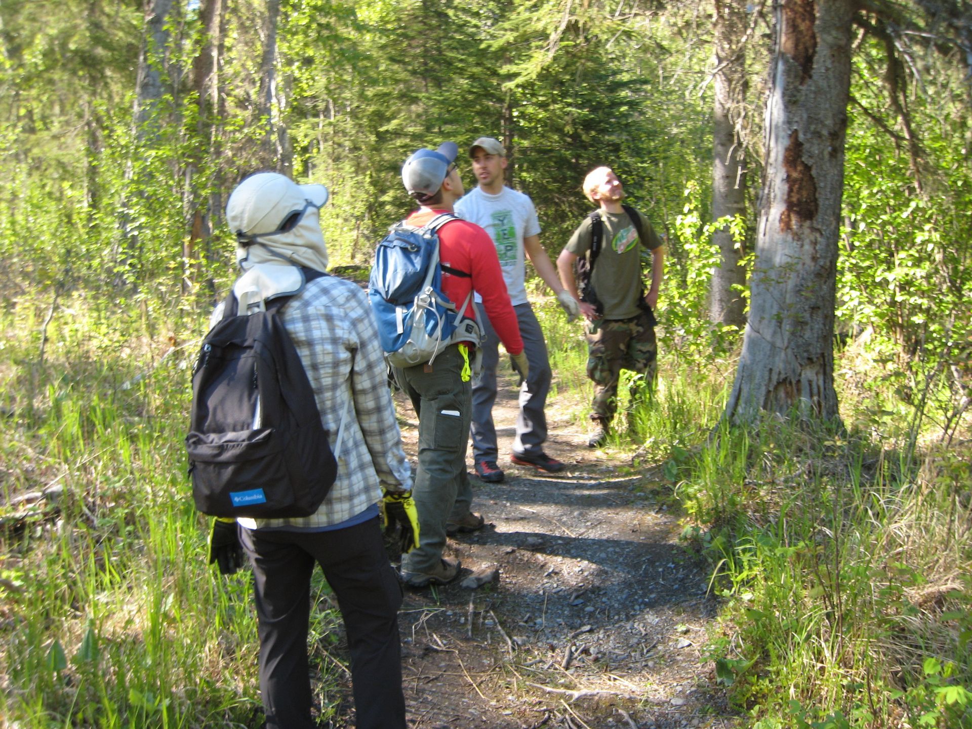 A group of people are walking down a path in the woods