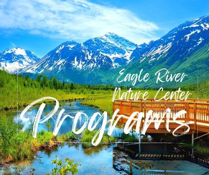 There is a bridge over a river with mountains in the background.
