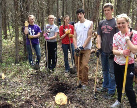 A group of people are standing in the woods with shovels.