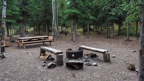 There is a fire pit in the middle of the woods.