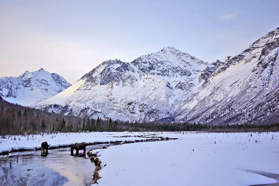 A frozen lake surrounded by snow covered mountains and trees.