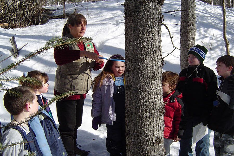 A group of children are standing around a tree in the snow