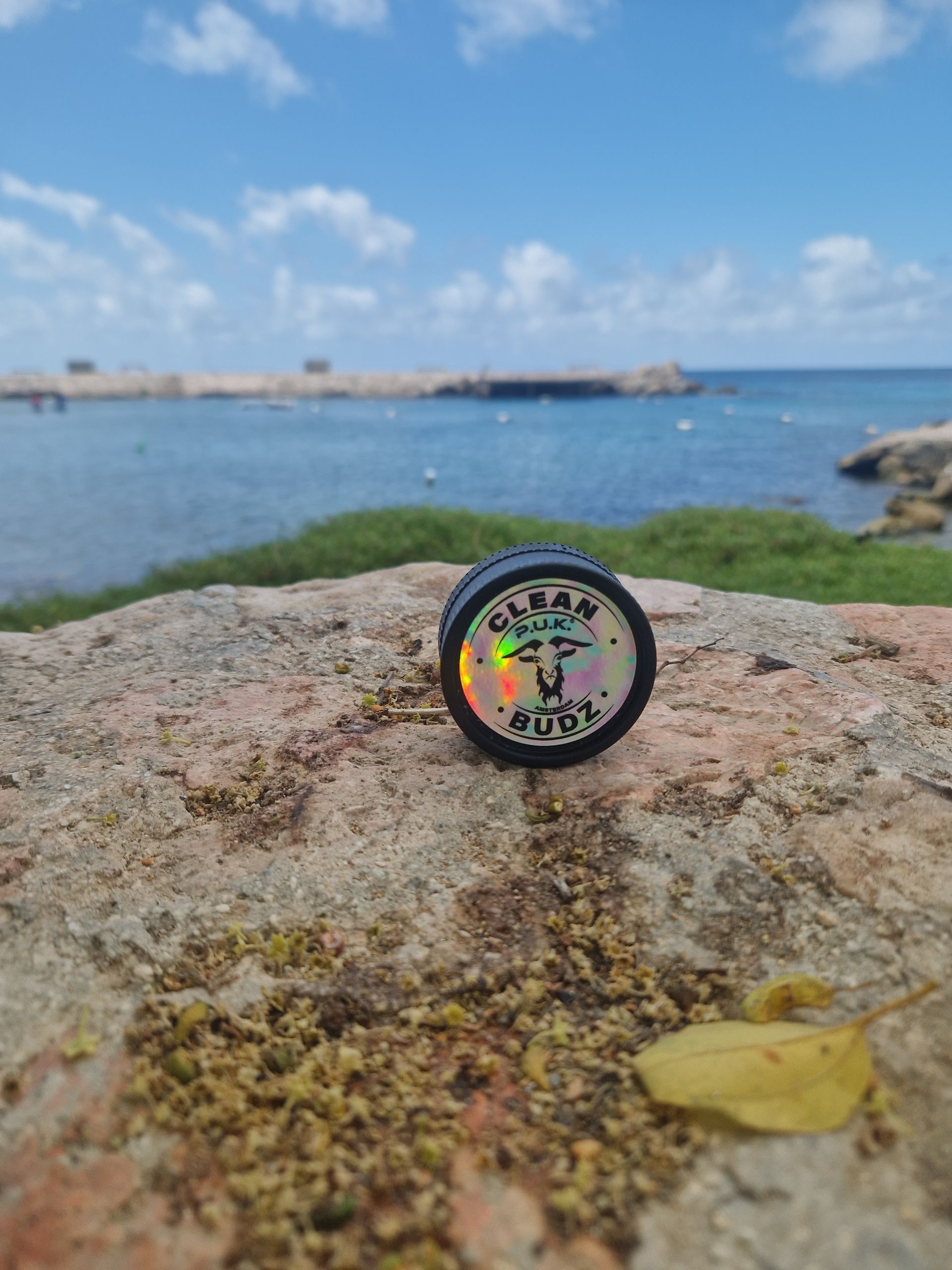 Biodegradable Grinder