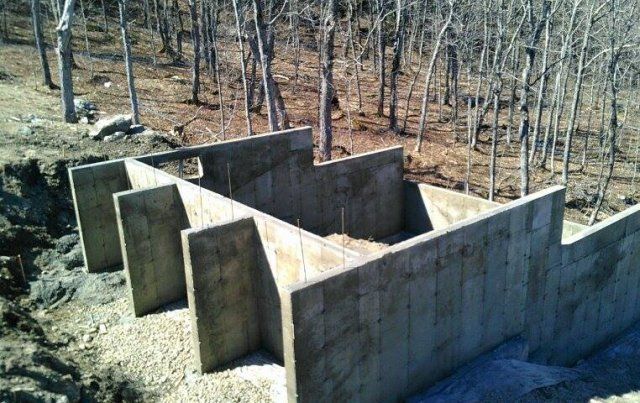Un mur de béton est en cours de construction au milieu d'une forêt