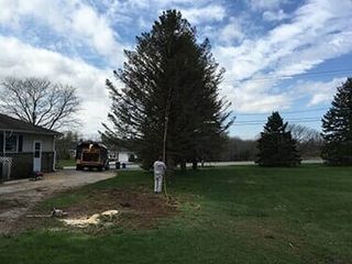 Tree Services York County Pa Mel S Tree Service