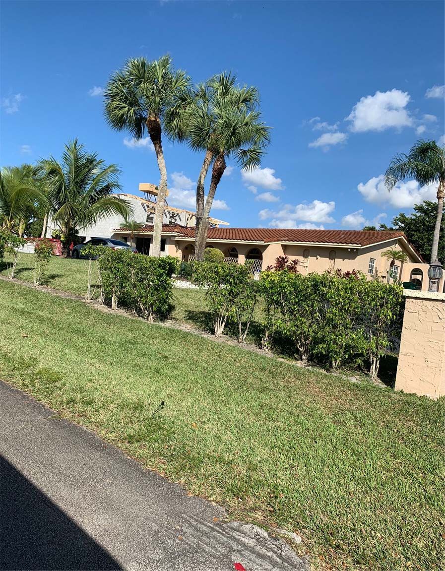 A house with a lot of trees in front of it.