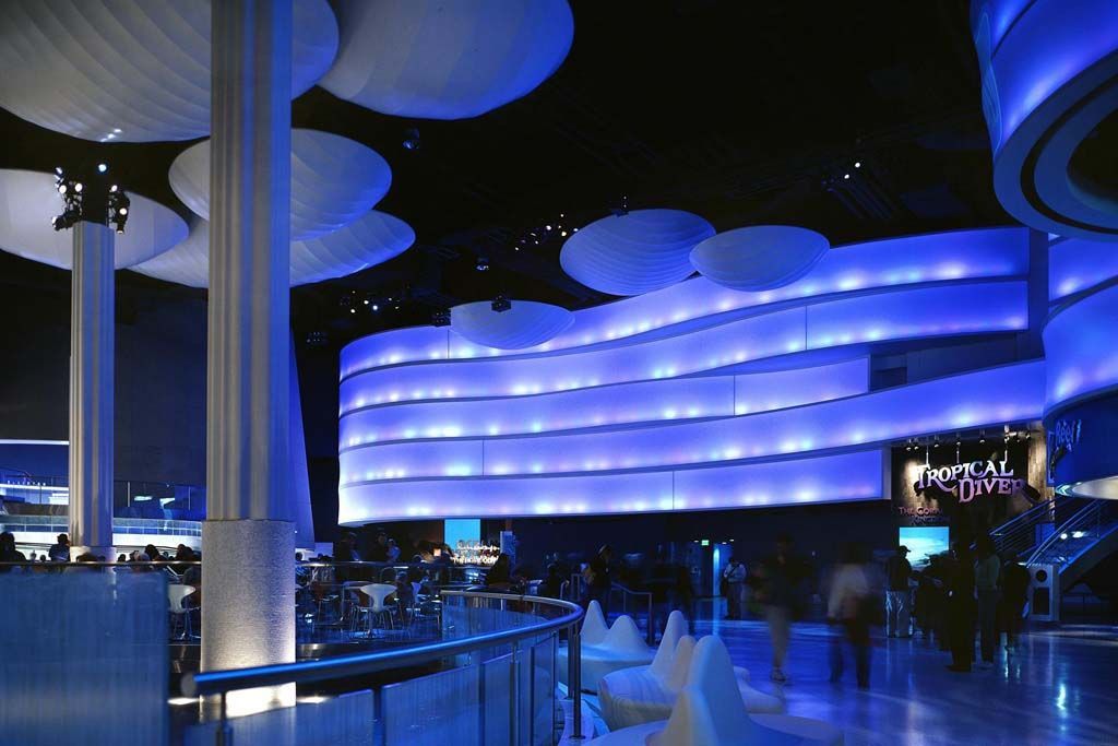 A building with a lot of blue lights on it