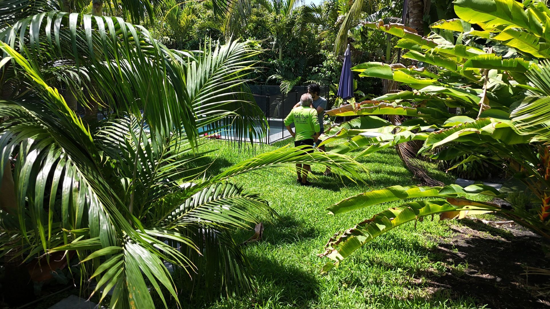 A couple of people are walking through a lush green forest.