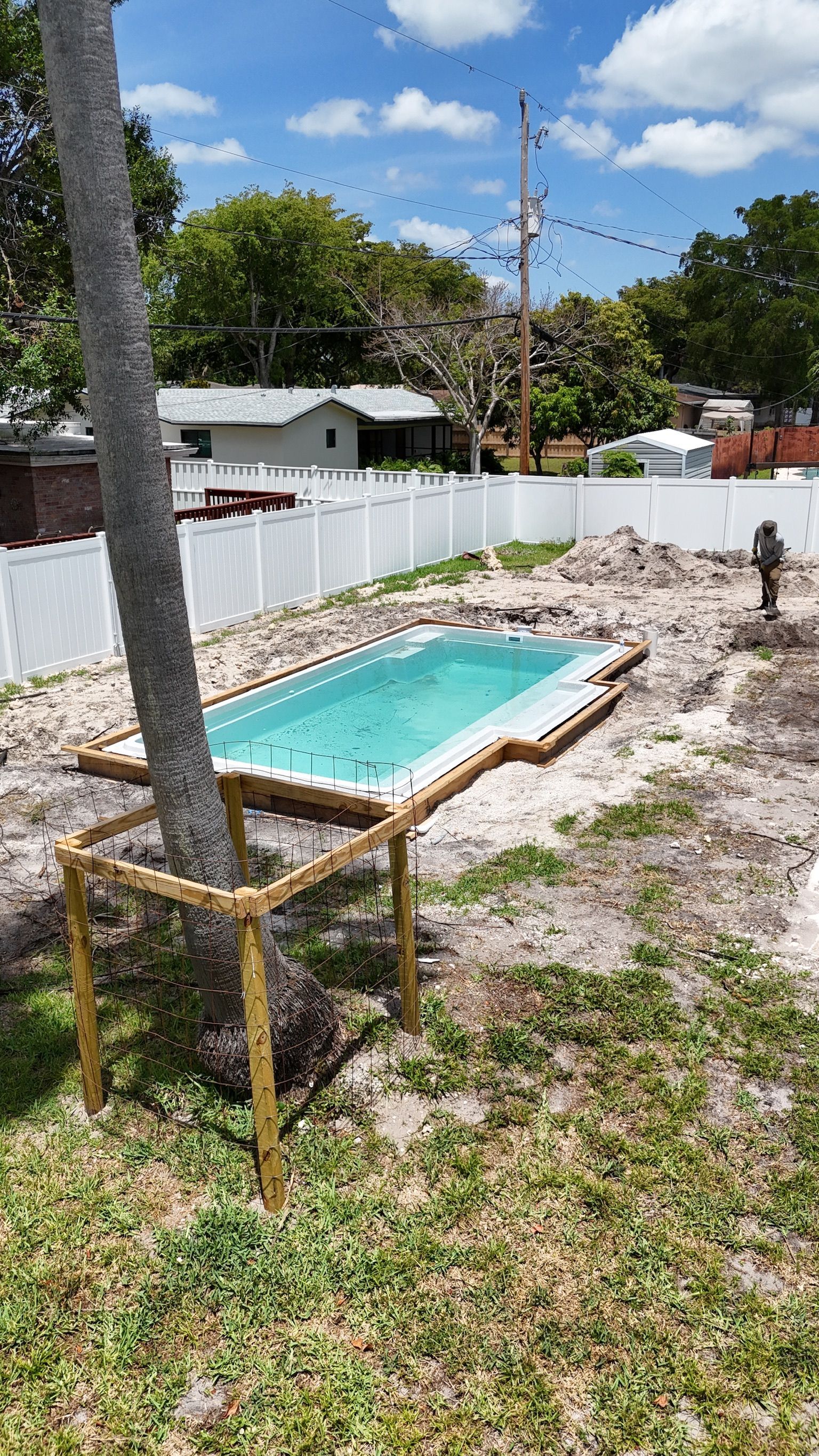 A small swimming pool is being built in a backyard next to a palm tree.
