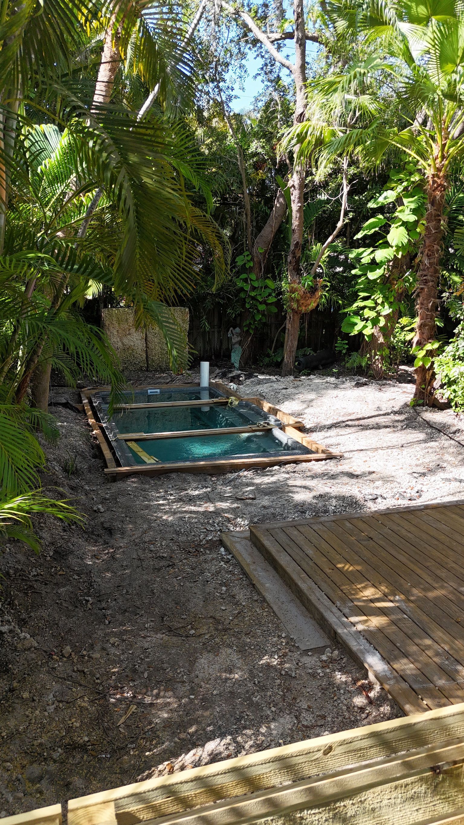 A swimming pool is being built in the middle of a lush green forest.