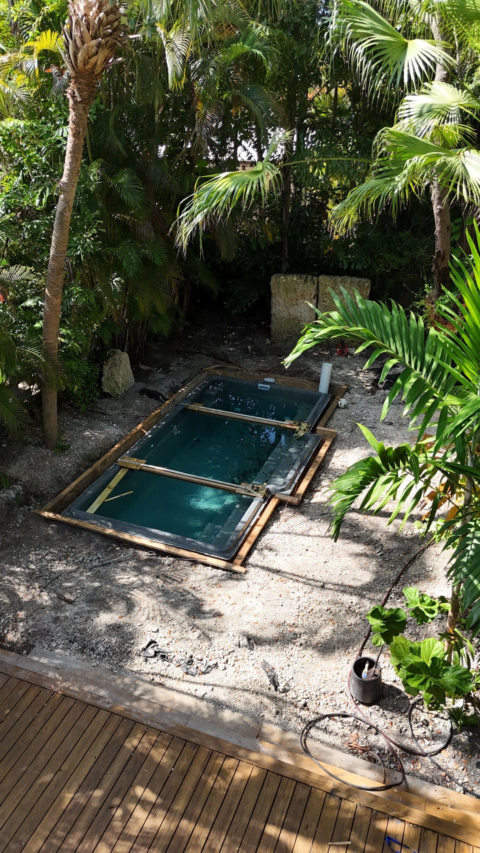 A small swimming pool in the middle of a lush green garden surrounded by trees.