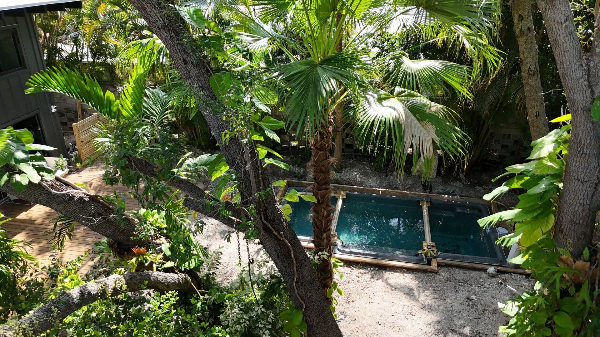 An aerial view of a swimming pool surrounded by trees.