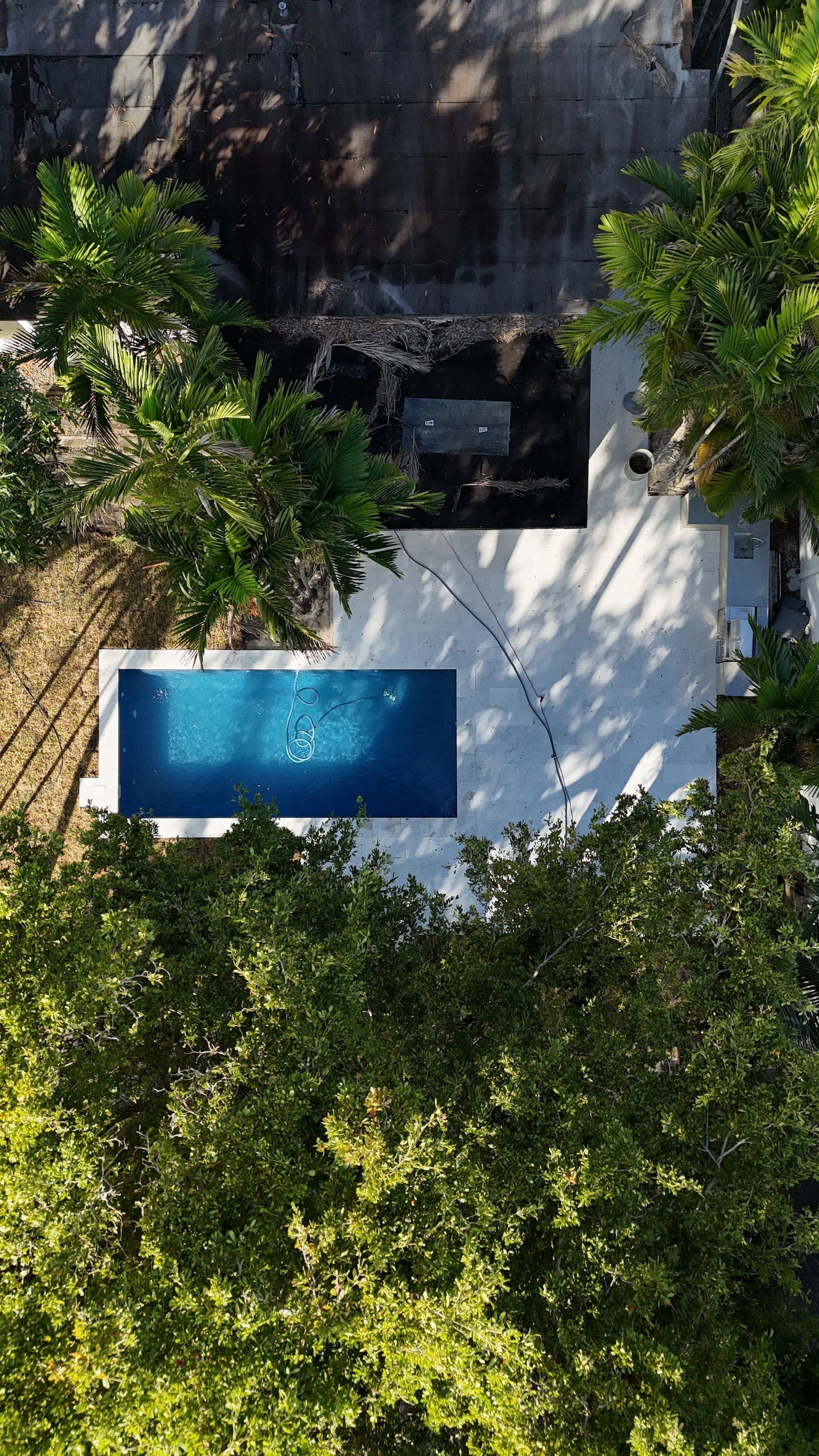 An aerial view of a swimming pool surrounded by trees.