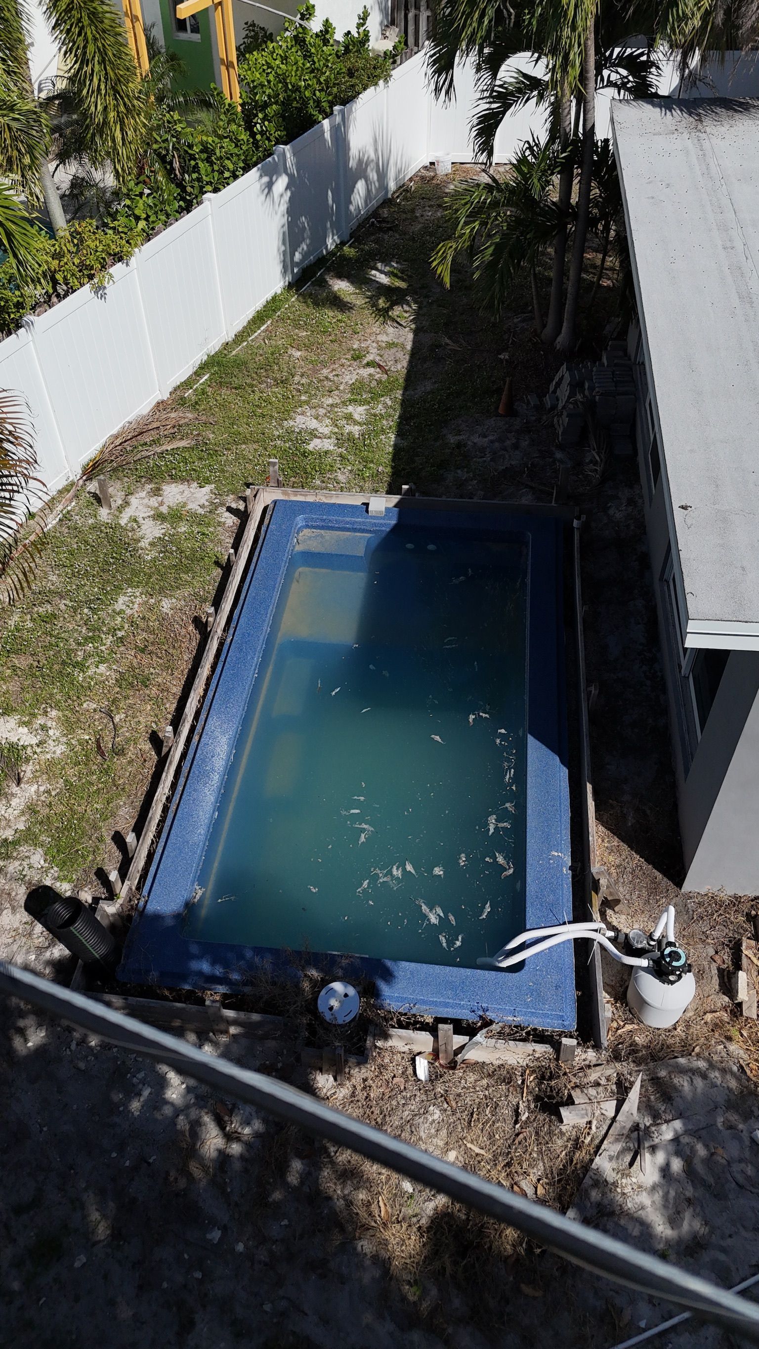 An aerial view of a swimming pool in a backyard.