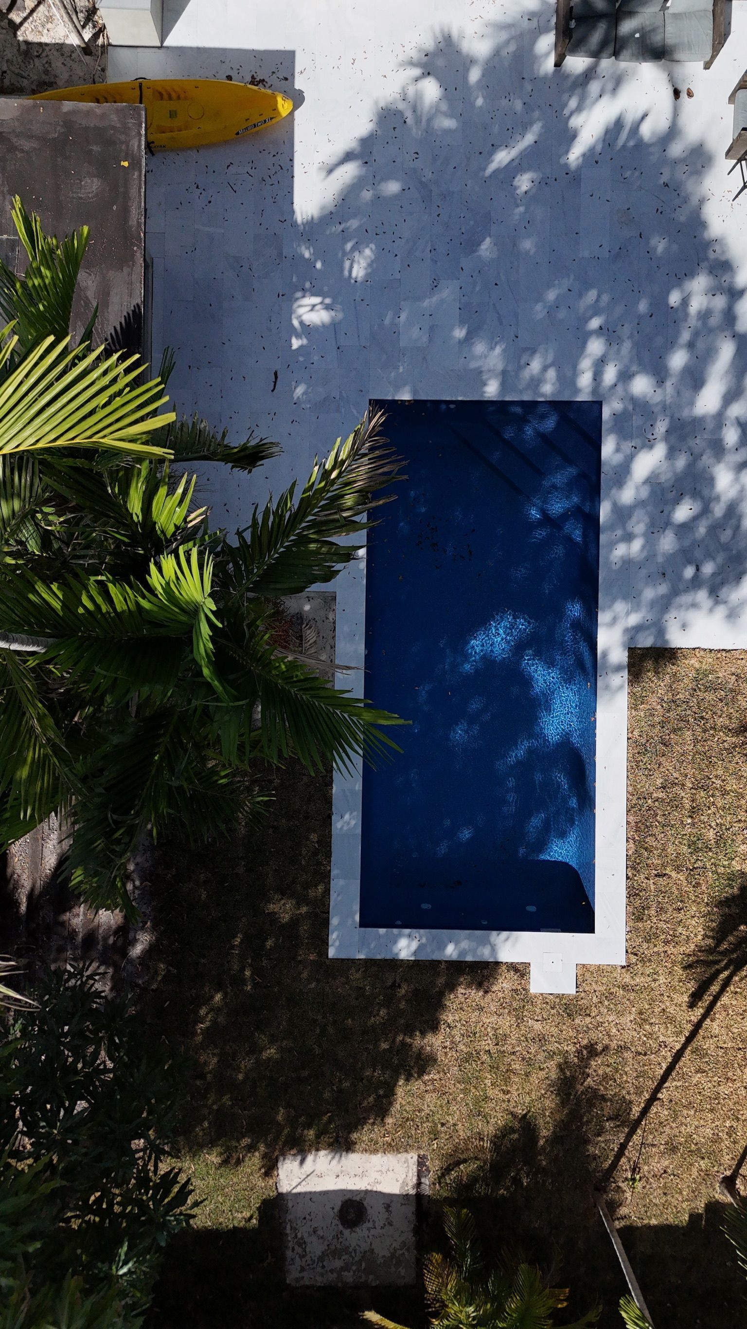 An aerial view of a swimming pool surrounded by palm trees.
