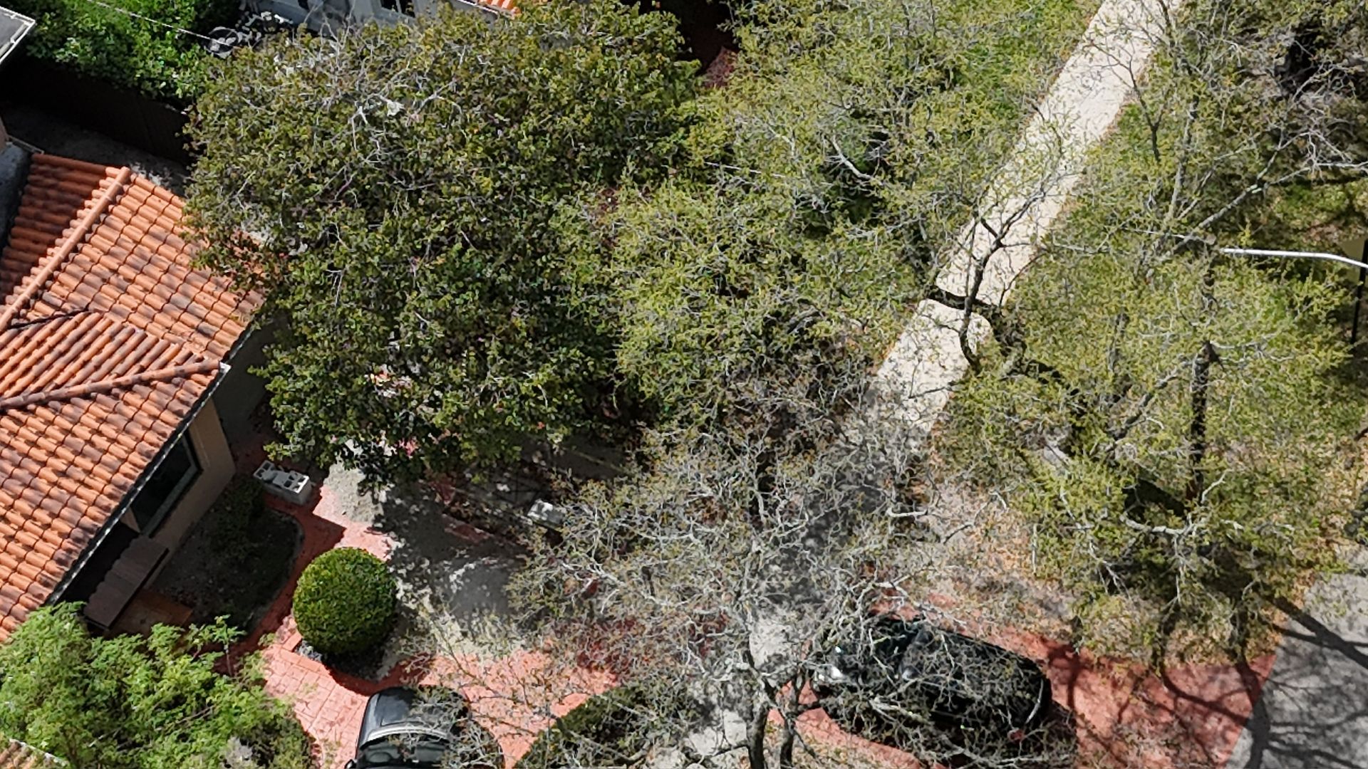 An aerial view of a house surrounded by trees and bushes.