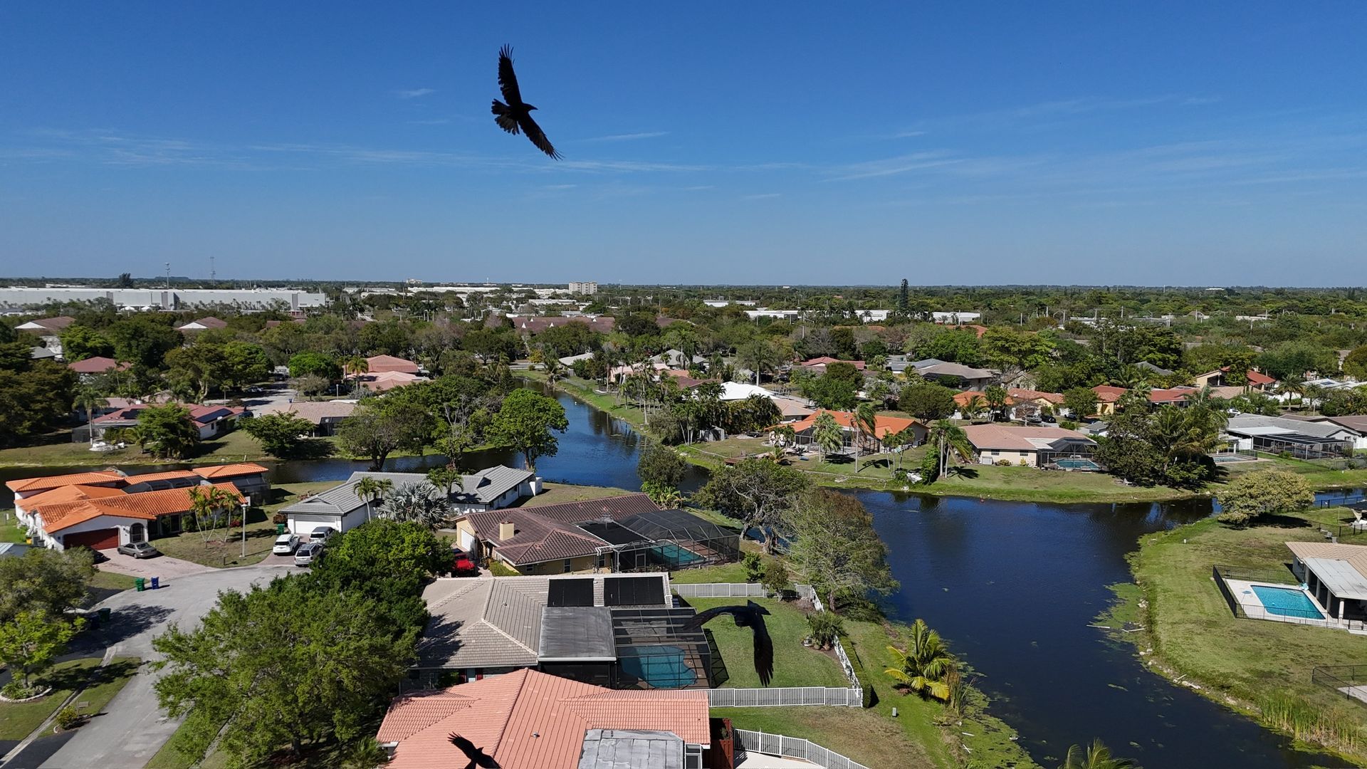 An aerial view of a residential area with a bird flying over it.
