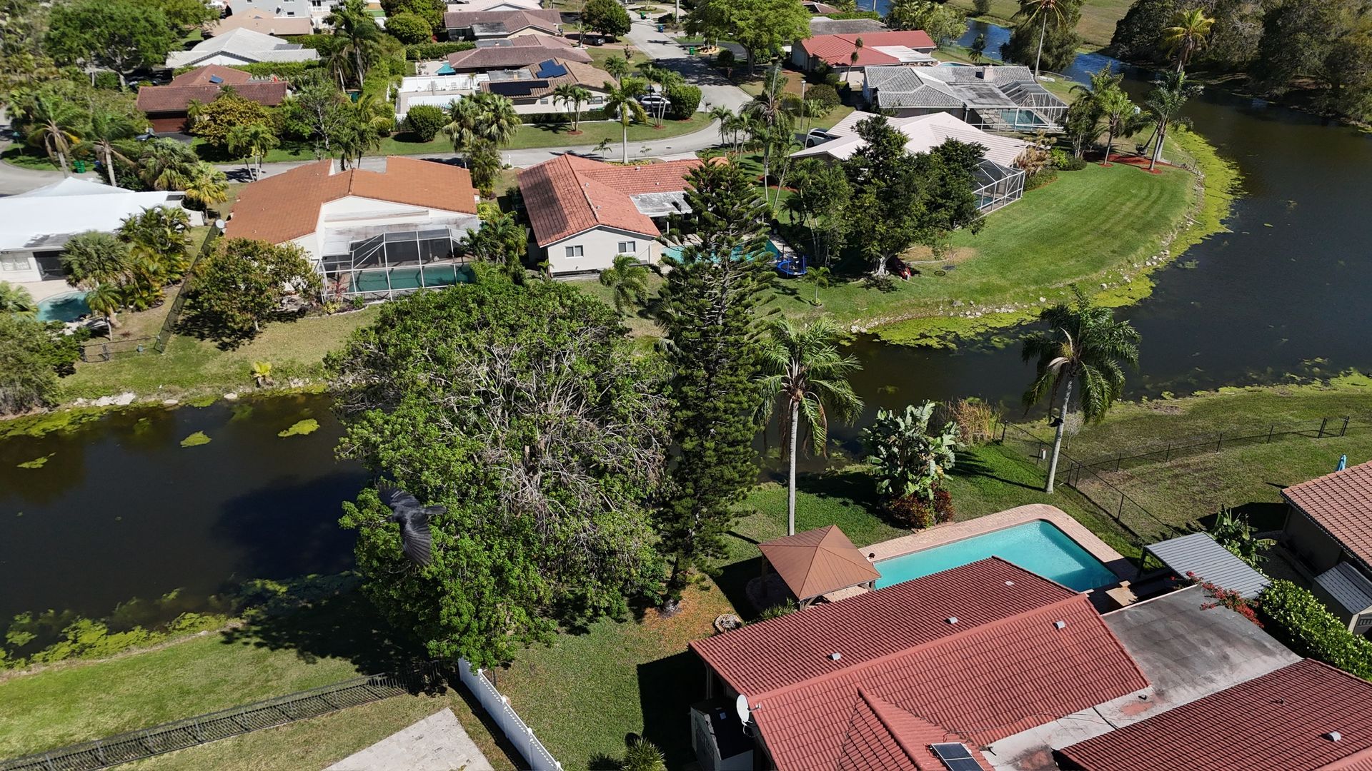 An aerial view of a residential area with a lake and houses.