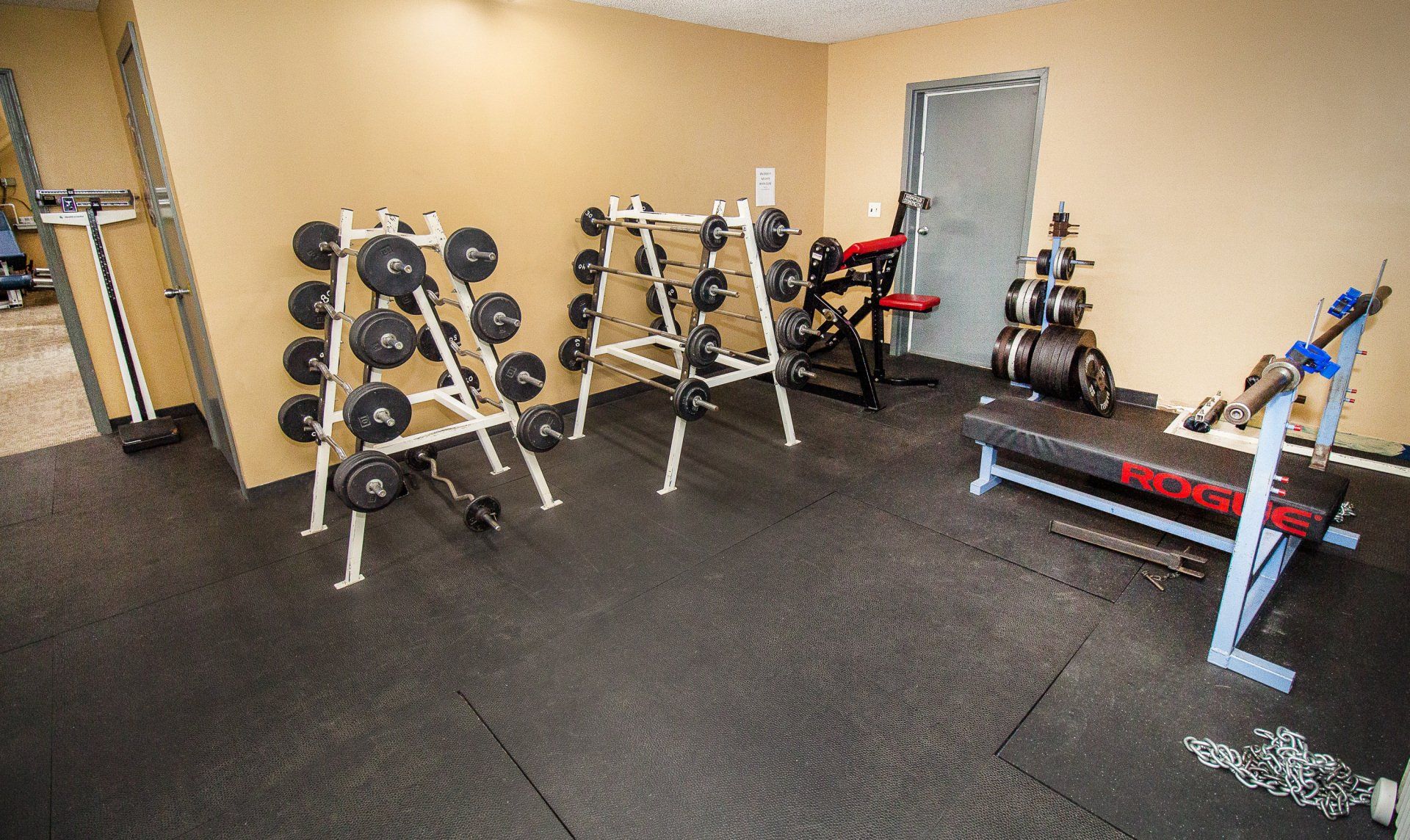 Ackerman Chiropractic Home