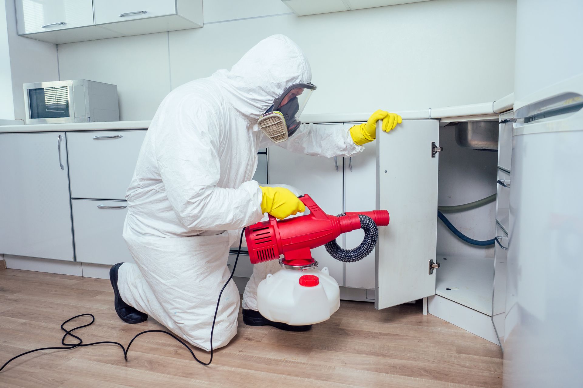 A worker uses an induction hob to spray pesticide inside a kitchen cabinet.