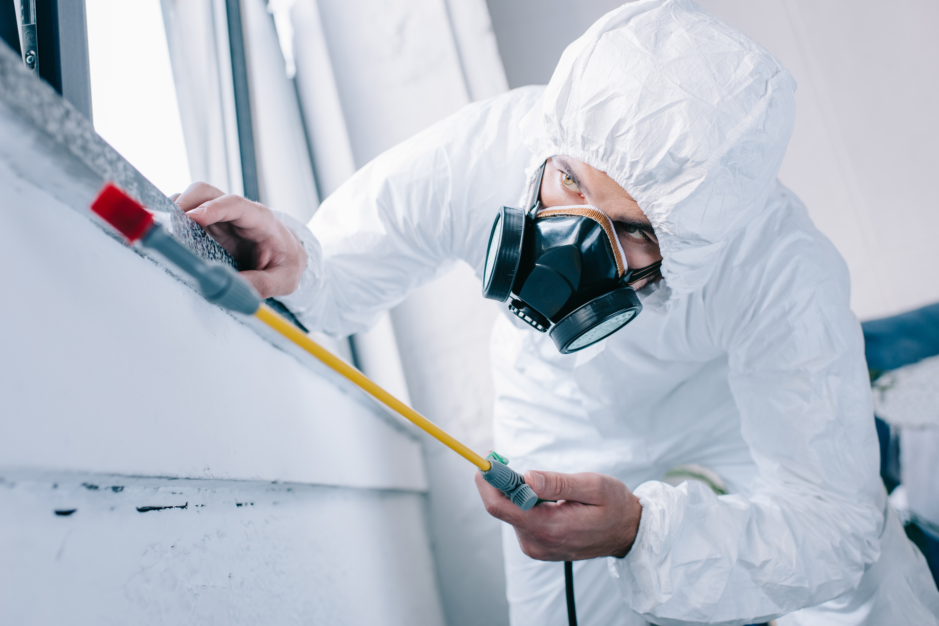 Pest technician in protective suit respirator inspecting mold and spraying treatment in indoor areas.