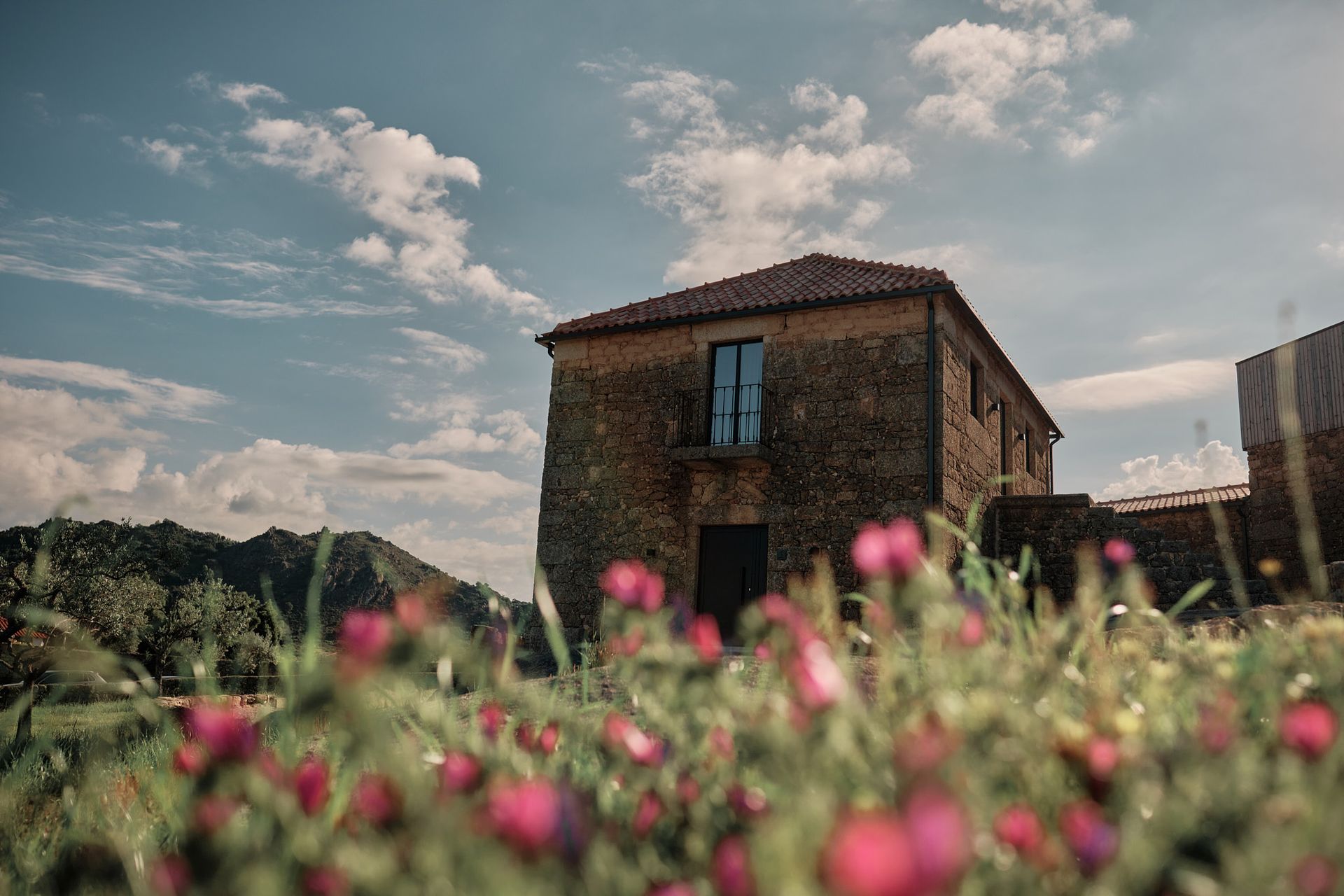 A stone house is sitting in the middle of a field of flowers.