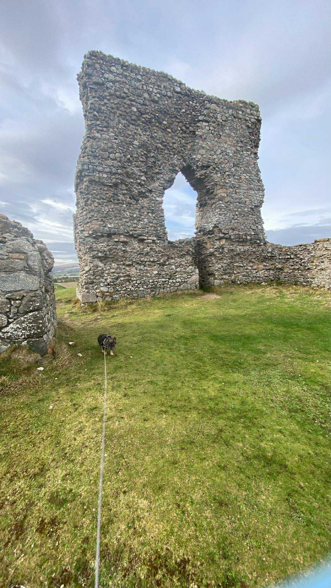 Dunnideer Castle Insch Dunnideer Castle remains with Rambo the French Bulldog