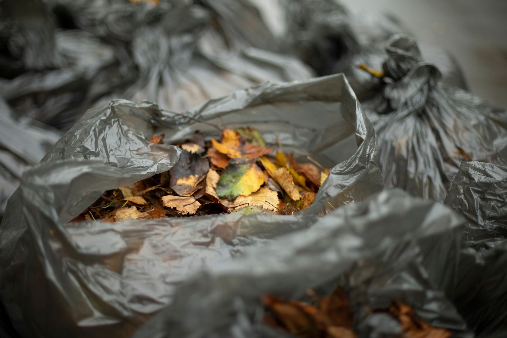 A pile of garbage bags filled with leaves.