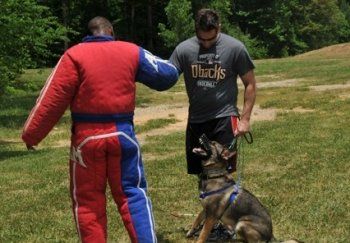A man in a duck 's shirt is standing next to a dog in a field.