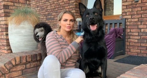 atlanta homeowner with trained protection dog