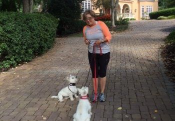 A woman is walking two white dogs on a leash.